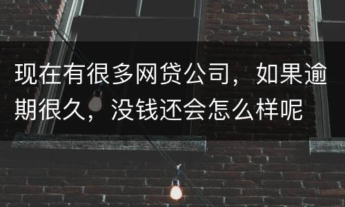 现在有很多网贷公司，如果逾期很久，没钱还会怎么样呢