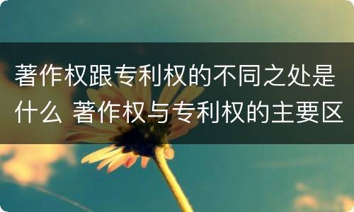 著作权跟专利权的不同之处是什么 著作权与专利权的主要区别是什么?