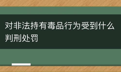 对非法持有毒品行为受到什么判刑处罚