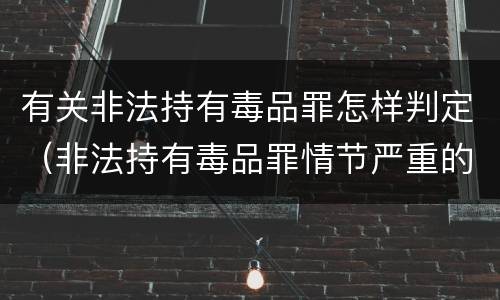 有关非法持有毒品罪怎样判定（非法持有毒品罪情节严重的认定）