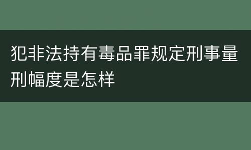 犯非法持有毒品罪规定刑事量刑幅度是怎样
