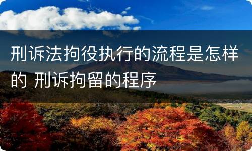 刑诉法拘役执行的流程是怎样的 刑诉拘留的程序