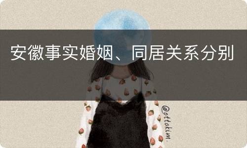 安徽事实婚姻、同居关系分别