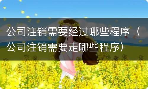 公司注销需要经过哪些程序（公司注销需要走哪些程序）