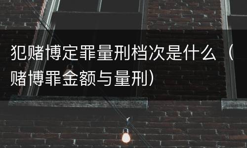 犯赌博定罪量刑档次是什么（赌博罪金额与量刑）