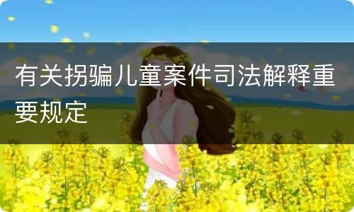 有关拐骗儿童案件司法解释重要规定