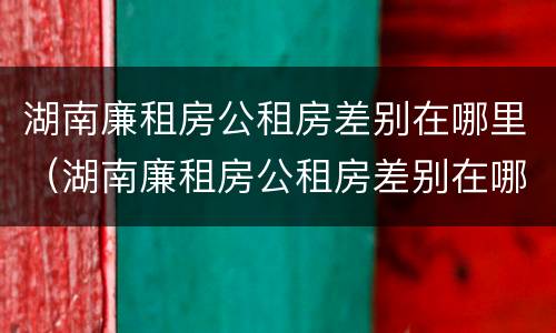 湖南廉租房公租房差别在哪里（湖南廉租房公租房差别在哪里查）