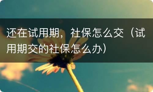 还在试用期，社保怎么交（试用期交的社保怎么办）