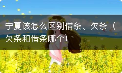 宁夏该怎么区别借条、欠条（欠条和借条哪个）