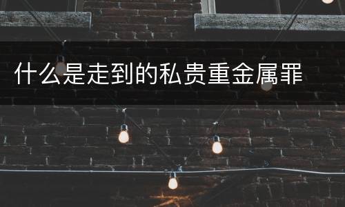 什么是走到的私贵重金属罪