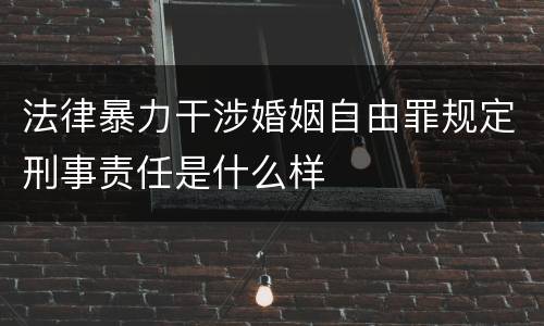 法律暴力干涉婚姻自由罪规定刑事责任是什么样