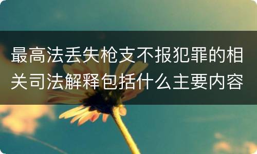 最高法丢失枪支不报犯罪的相关司法解释包括什么主要内容