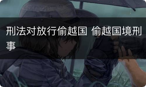 刑法对放行偷越国 偷越国境刑事