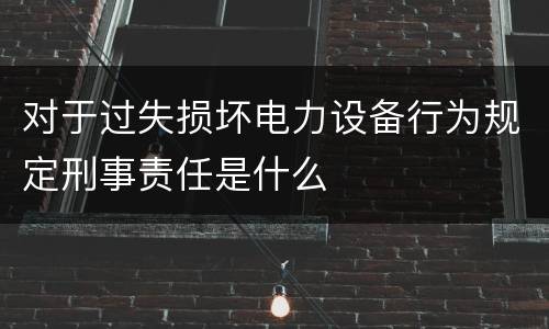 对于过失损坏电力设备行为规定刑事责任是什么