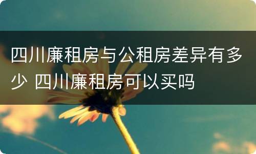四川廉租房与公租房差异有多少 四川廉租房可以买吗