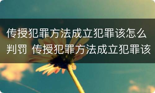 传授犯罪方法成立犯罪该怎么判罚 传授犯罪方法成立犯罪该怎么判罚呢