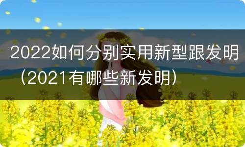 2022如何分别实用新型跟发明（2021有哪些新发明）