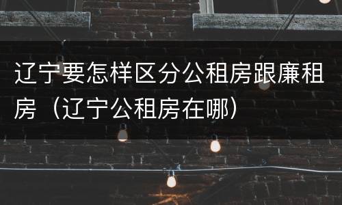 辽宁要怎样区分公租房跟廉租房（辽宁公租房在哪）