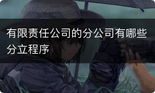 有限责任公司的分公司有哪些分立程序