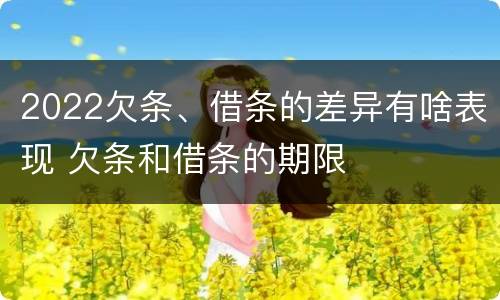 2022欠条、借条的差异有啥表现 欠条和借条的期限