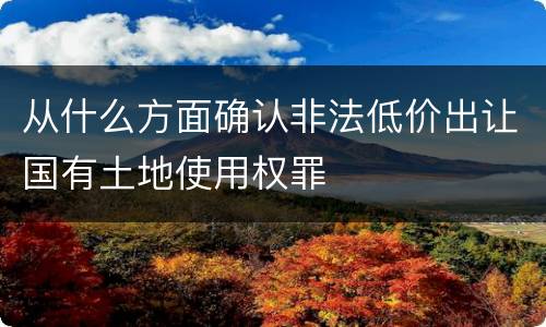 从什么方面确认非法低价出让国有土地使用权罪