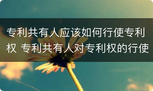 专利共有人应该如何行使专利权 专利共有人对专利权的行使