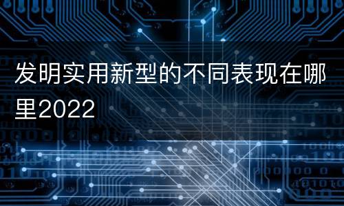 发明实用新型的不同表现在哪里2022