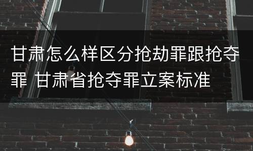 甘肃怎么样区分抢劫罪跟抢夺罪 甘肃省抢夺罪立案标准