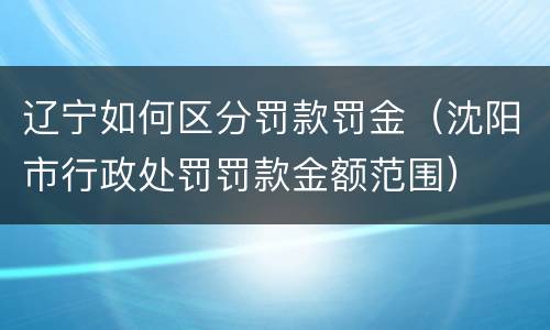 辽宁如何区分罚款罚金（沈阳市行政处罚罚款金额范围）
