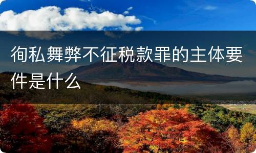 徇私舞弊不征税款罪的主体要件是什么