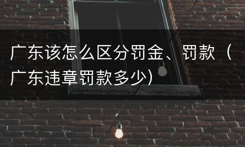 广东该怎么区分罚金、罚款（广东违章罚款多少）