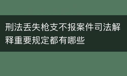 刑法丢失枪支不报案件司法解释重要规定都有哪些
