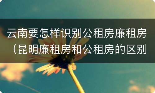 云南要怎样识别公租房廉租房（昆明廉租房和公租房的区别）