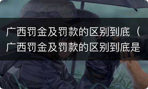 广西罚金及罚款的区别到底（广西罚金及罚款的区别到底是什么?）
