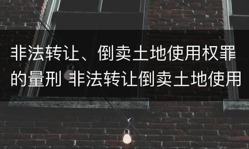 非法转让、倒卖土地使用权罪的量刑 非法转让倒卖土地使用权罪情节严重的认定