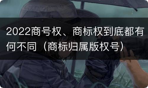 2022商号权、商标权到底都有何不同（商标归属版权号）