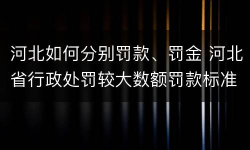 河北如何分别罚款、罚金 河北省行政处罚较大数额罚款标准