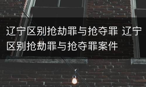 辽宁区别抢劫罪与抢夺罪 辽宁区别抢劫罪与抢夺罪案件