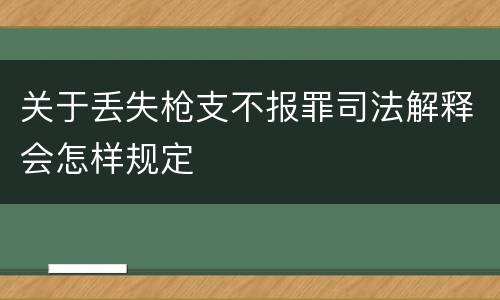 关于丢失枪支不报罪司法解释会怎样规定