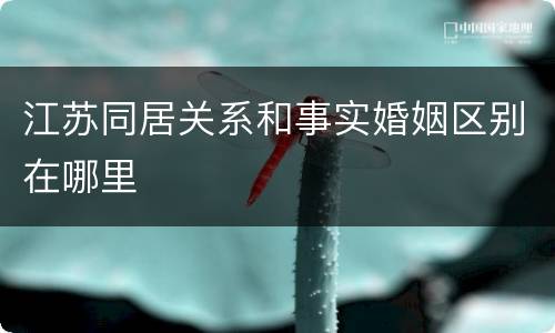 江苏同居关系和事实婚姻区别在哪里