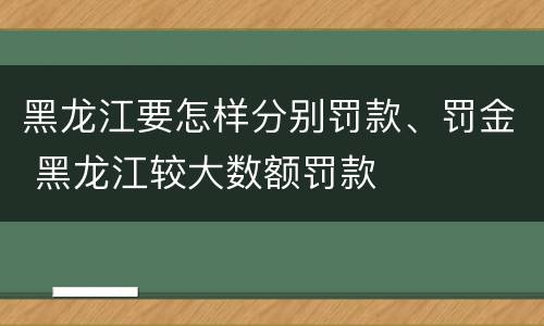黑龙江要怎样分别罚款、罚金 黑龙江较大数额罚款