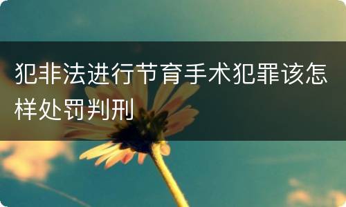 犯非法进行节育手术犯罪该怎样处罚判刑