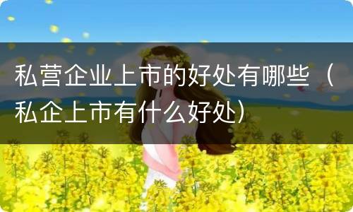 私营企业上市的好处有哪些（私企上市有什么好处）