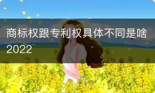 商标权跟专利权具体不同是啥2022