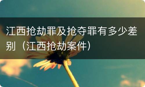 江西抢劫罪及抢夺罪有多少差别（江西抢劫案件）