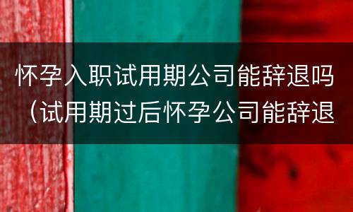 怀孕入职试用期公司能辞退吗（试用期过后怀孕公司能辞退员工吗）