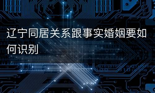 辽宁同居关系跟事实婚姻要如何识别