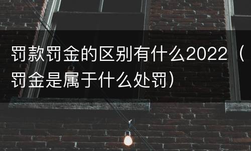 罚款罚金的区别有什么2022（罚金是属于什么处罚）