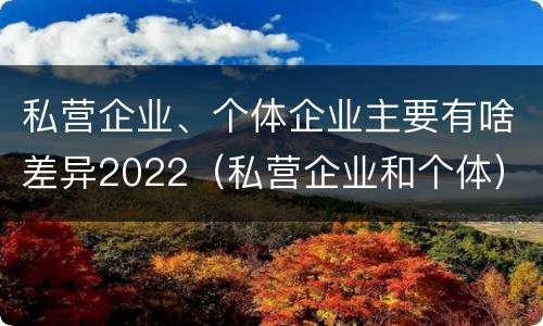 私营企业、个体企业主要有啥差异2022（私营企业和个体）