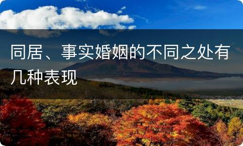 同居、事实婚姻的不同之处有几种表现